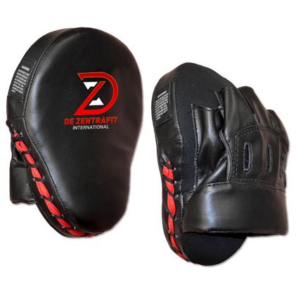 Focus Mitts