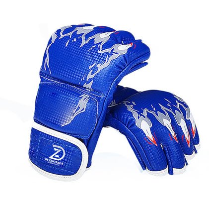 MMA Gloves