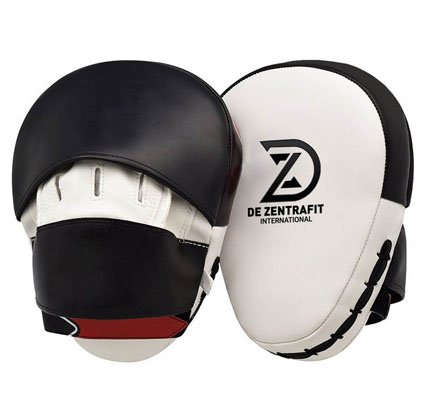 Focus Mitts