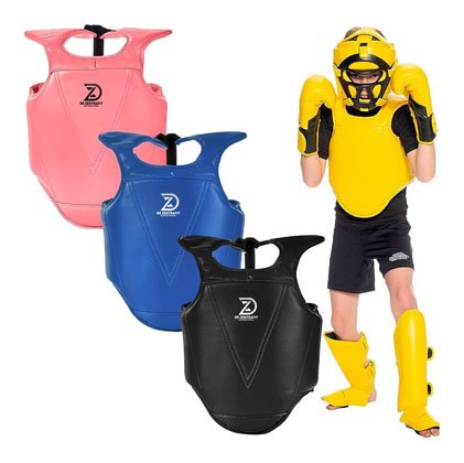 Body Protective Shield