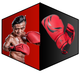 Boxing & MMA Gears